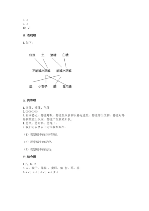教科版一年级下册科学期末测试卷（考点梳理）word版.docx