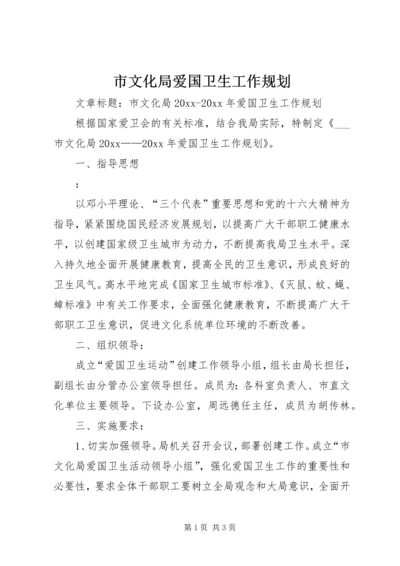 市文化局爱国卫生工作规划.docx