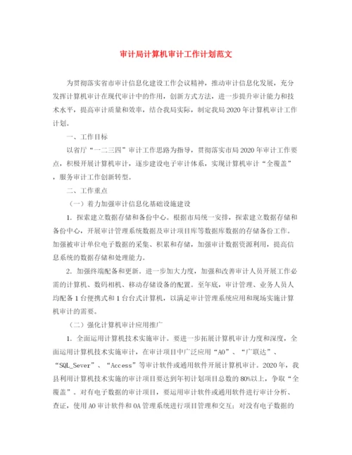 精编之审计局计算机审计工作计划范文.docx