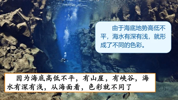 第18课《富饶的西沙群岛》课件