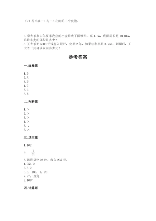 洛阳市老城区六年级下册数学期末测试卷a4版.docx