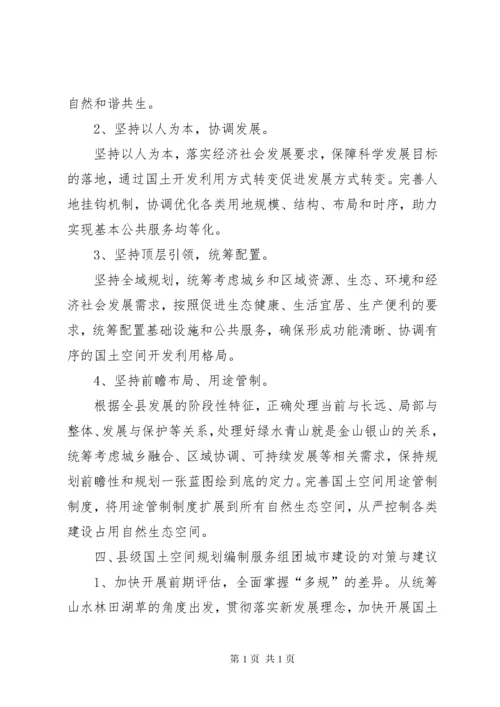 国土空间规划调研报告.docx