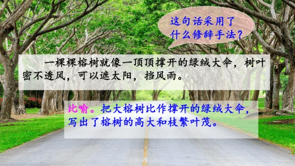第19课《海滨小城》（课件）