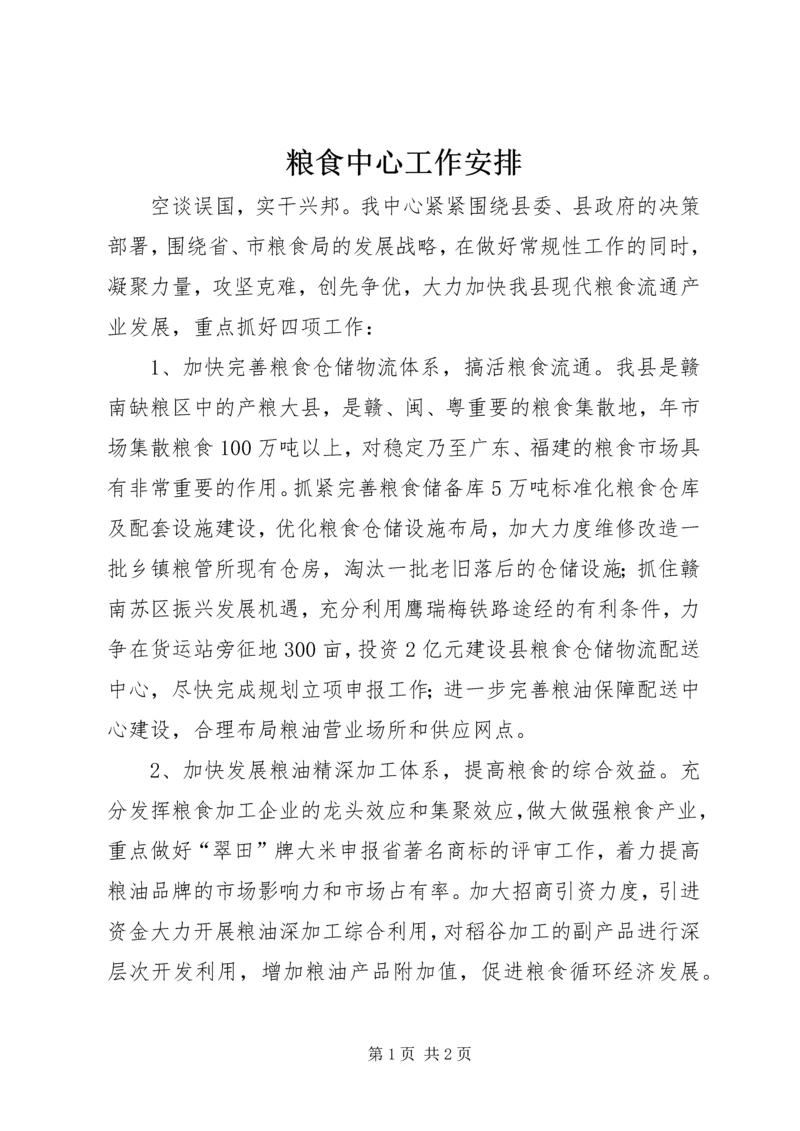 粮食中心工作安排.docx