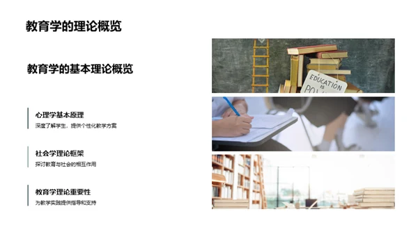 教育学实践探析