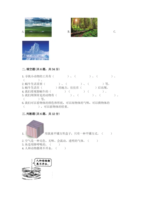 教科版一年级下册科学期末测试卷【a卷】.docx
