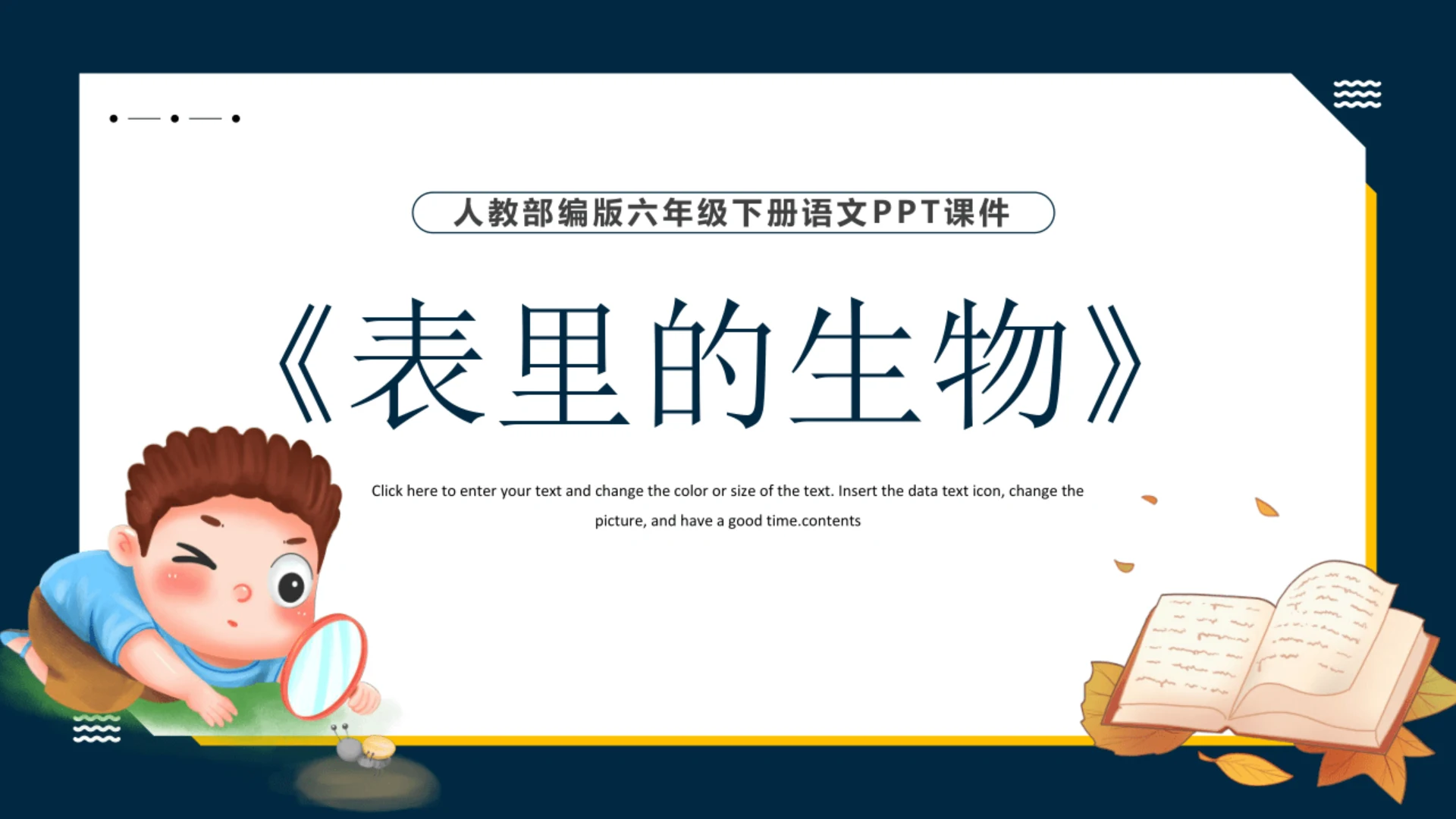 16 表里的生物 课件