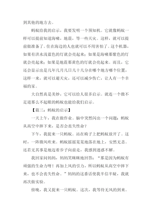 蚂蚁的启示作文300字.docx