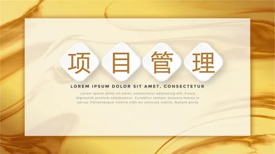 时尚微立体项目管理工作总结商务通用PPT动态模板