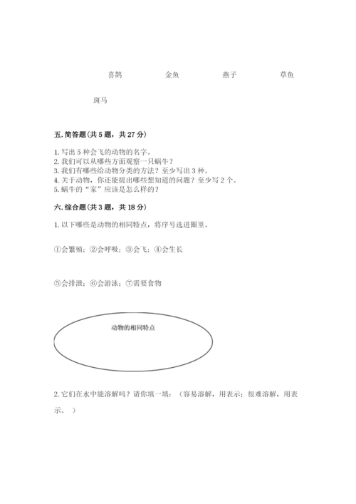 教科版一年级下册科学期末测试卷精品（完整版）.docx