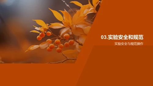 秋分之谜科学探索