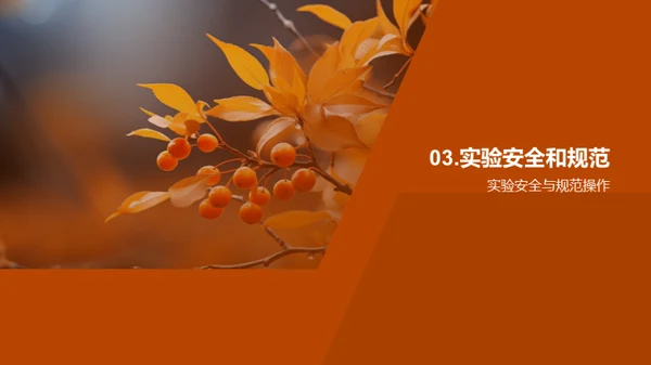 秋分之谜科学探索