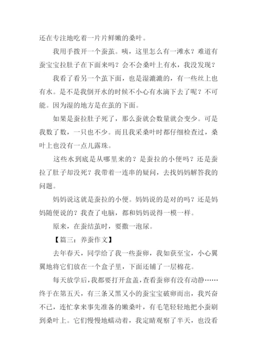 关于养蚕的作文.docx