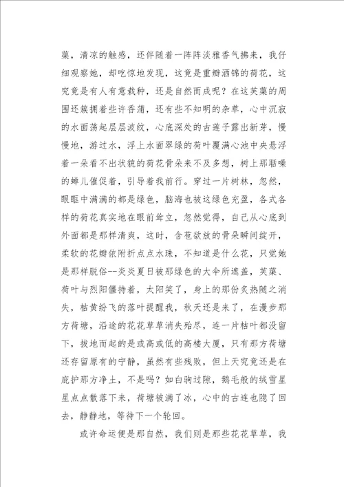 初三作文杂文韵典芙蕖1000字