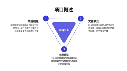 简约风旅游项目融资商业计划书