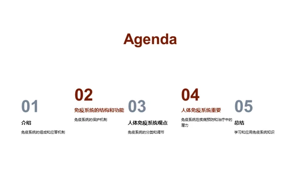 简约风生物医疗教学课件PPT模板
