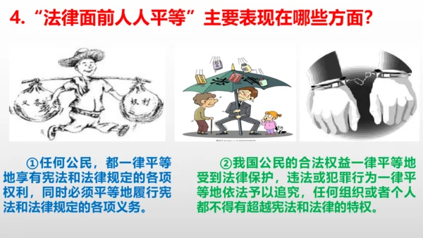 第七课  尊重自由平等  复习课件（24张PPT ）