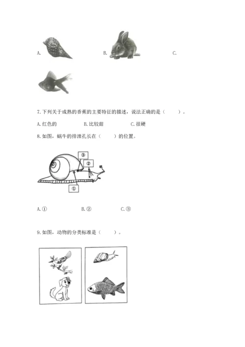 教科版一年级下册科学期末测试卷（典型题）.docx