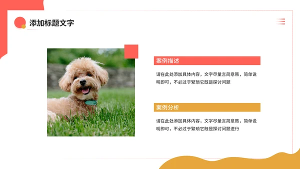 宠物健康护理，狗狗通用PPT模板
