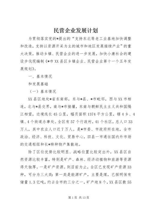 民营企业发展计划.docx