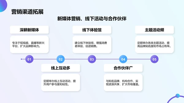 蓝色商务风营销项目总结提案PPT模板