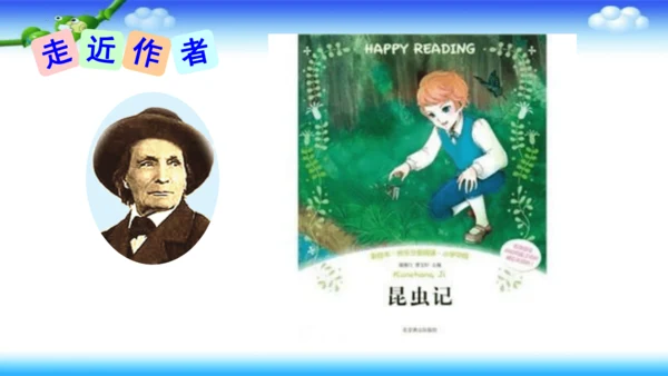 14《蜜蜂》课件