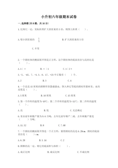 小升初六年级期末试卷带答案（能力提升）.docx