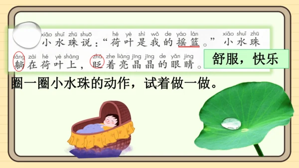 12 荷叶圆圆（课件）