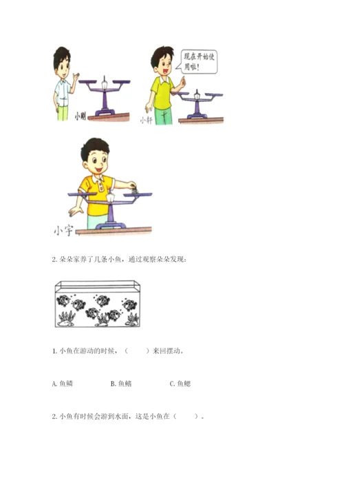 教科版一年级下册科学期末测试卷附参考答案（综合卷）.docx