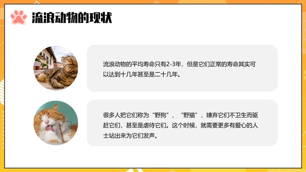 关爱流浪动物PPT模板