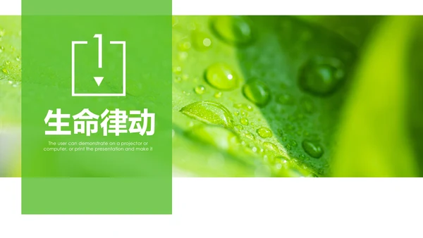 绿色清新植物生长敬畏生命成长励志PPT模板