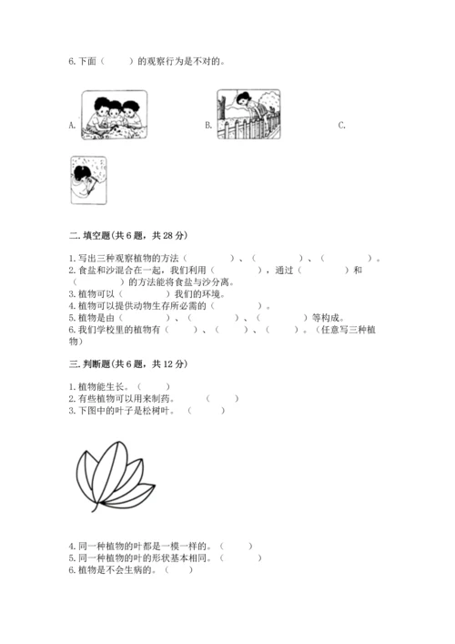 教科版科学一年级上册第一单元《植物》测试卷及参考答案【突破训练】.docx