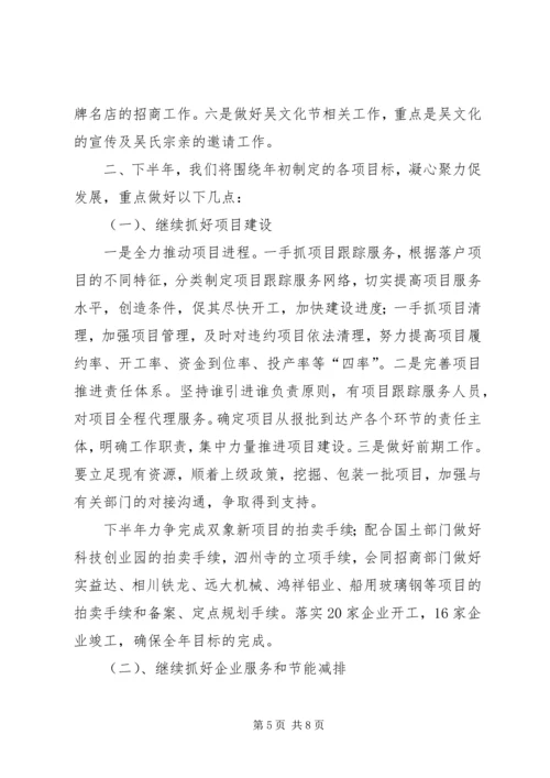 经贸办上半年工作总结与下半年工作计划 (4).docx