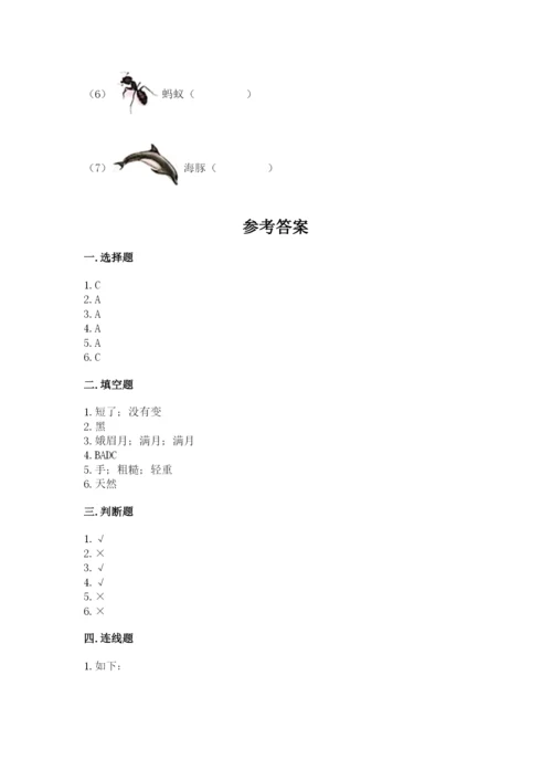 教科版科学二年级上册《期末测试卷》精品【必刷】.docx