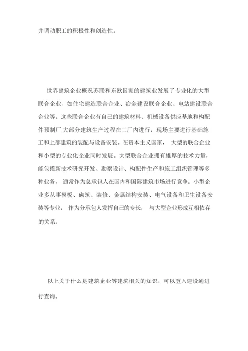 什么是建筑企业.doc.docx