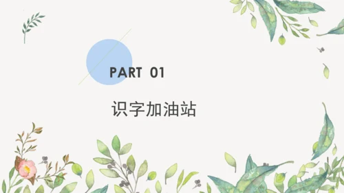 统编版二年级下册  语文园地二第一课时  课件
