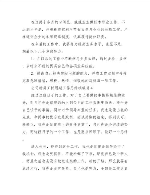 公司新员工试用期工作总结模板工作总结范文