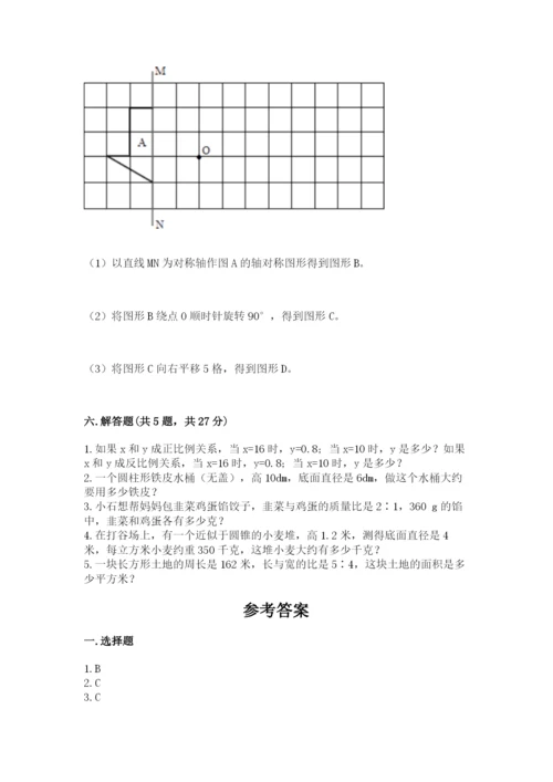 北师大版六年级下册数学期末测试卷【夺冠系列】.docx