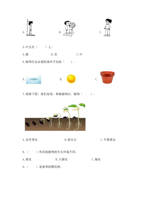 教科版一年级上册科学期末测试卷带精品答案.docx