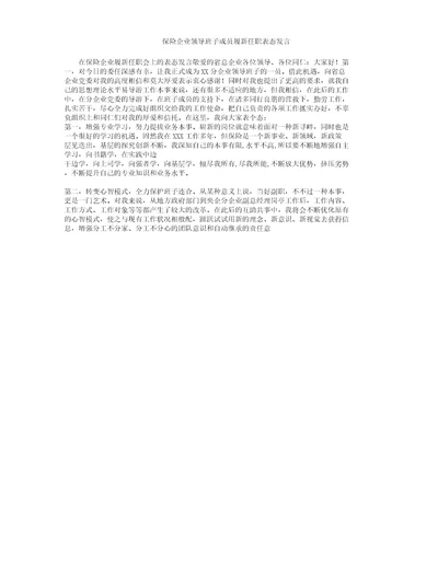 保险公司领导班子成员履新任职表格态发言