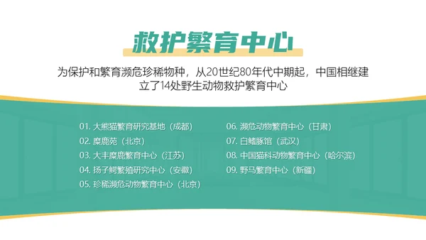 保护野生动物斑马通用PPT模板