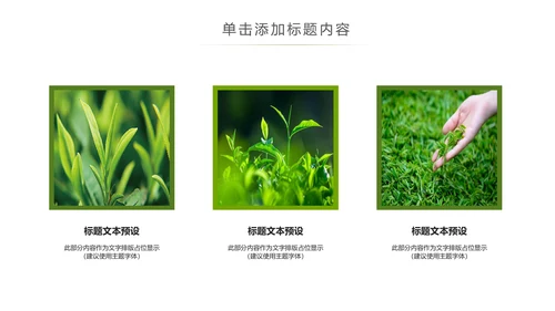 清新绿茶茶文化采茶茶道茶艺茶文化PPT模板