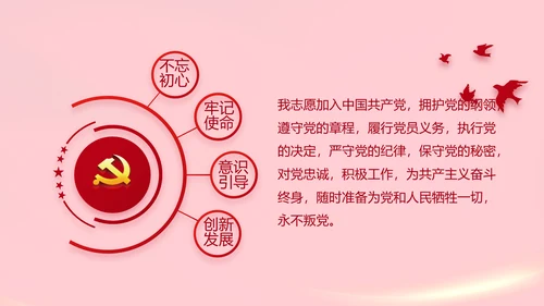 红色党支部党员代表大会工作总结PPT