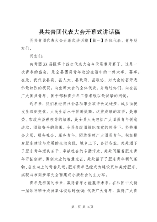 县共青团代表大会开幕式讲话稿.docx