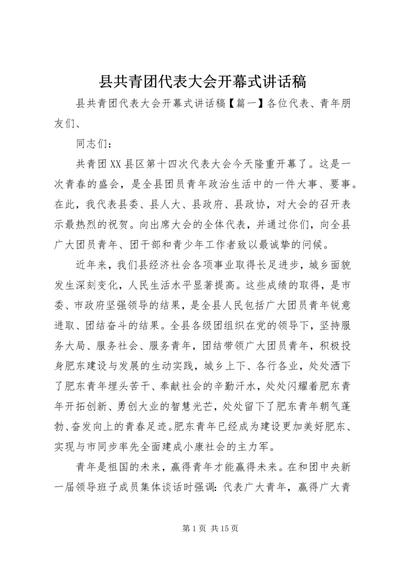 县共青团代表大会开幕式讲话稿.docx