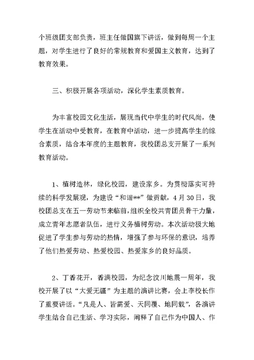 XX年度中学团总支工作总结