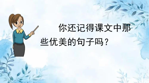 部编版语文二年级上册第七单元复习课件