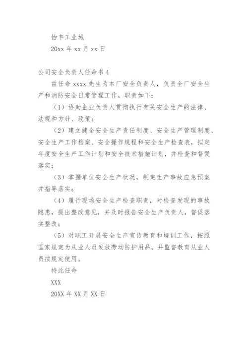 公司安全负责人任命书.docx