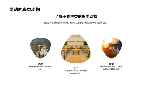 我们的小小动物园