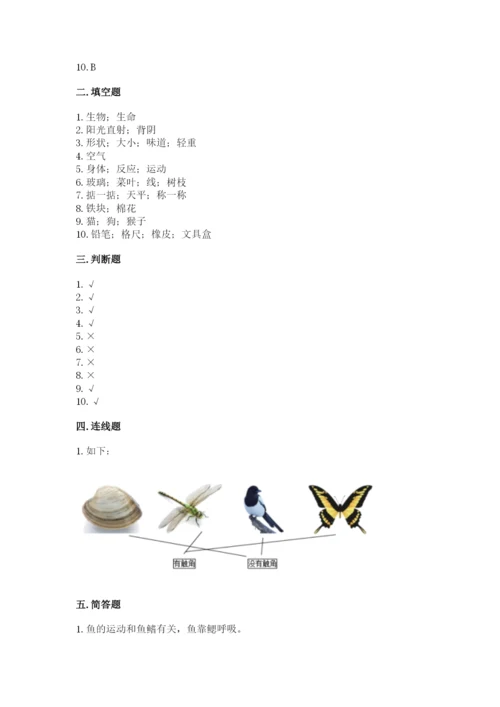 教科版一年级下册科学期末测试卷（基础题）.docx